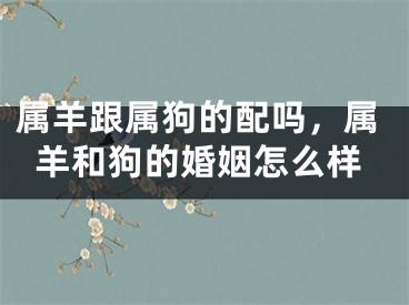 属羊跟属狗的配吗,属羊和狗的婚姻怎么样