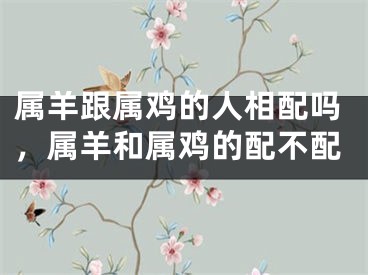 属羊跟属鸡的人相配吗,属羊和属鸡的配不配
