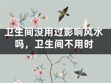 卫生间没用过影响风水吗，卫生间不用时