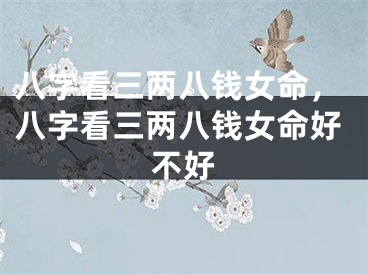 八字看三两八钱女命，八字看三两八钱女命好不好