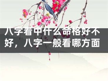八字看中什么命格好不好，八字一般看哪方面