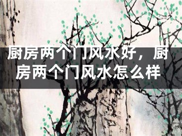 厨房两个门风水好,厨房两个门风水怎么样