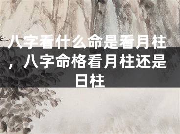 八字看什么命是看月柱，八字命格看月柱还是日柱