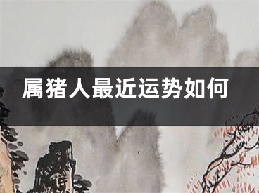 属猪人最近运势如何