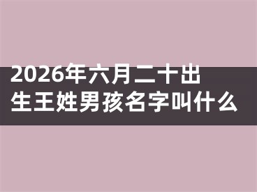 2026年六月二十出生王姓男孩名字叫什么
