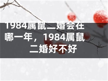 1984属鼠二婚会在哪一年,1984属鼠二婚好不好