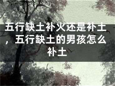 五行缺土补火还是补土,五行缺土的男孩怎么补土