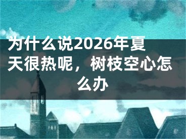 为什么说2026年夏天很热呢，树枝空心怎么办