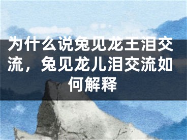 为什么说兔见龙王泪交流,兔见龙儿泪交流如何解释
