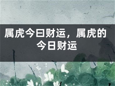 属虎今曰财运，属虎的今日财运