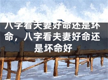 八字看夫妻好命还是坏命，八字看夫妻好命还是坏命好