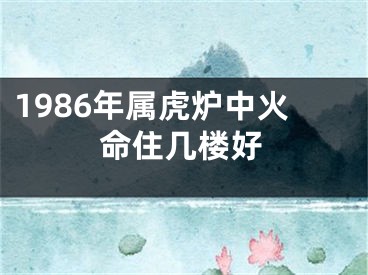 1986年属虎炉中火命住几楼好