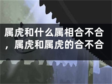 属虎和什么属相合不合,属虎和属虎的合不合