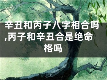 辛丑和丙子八字相合吗,丙子和辛丑合是绝命格吗