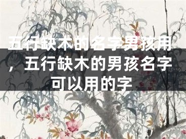 五行缺木的名字男孩用,五行缺木的男孩名字可以用的字