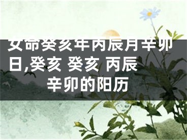 女命癸亥年丙辰月辛卯日,癸亥 癸亥 丙辰 辛卯的阳历