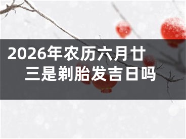 2026年农历六月廿三是剃胎发吉日吗
