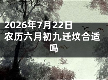 2026年7月22日农历六月初九迁坟合适吗