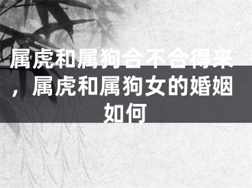 属虎和属狗合不合得来,属虎和属狗女的婚姻如何