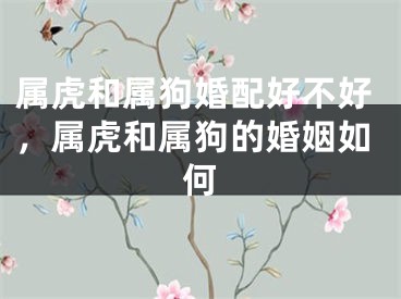 属虎和属狗婚配好不好,属虎和属狗的婚姻如何