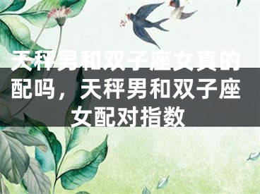 天秤男和双子座女真的配吗，天秤男和双子座女配对指数