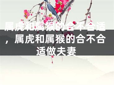 属虎和属猴的合不合适,属虎和属猴的合不合适做夫妻