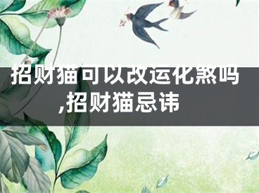 招财猫可以改运化煞吗,招财猫忌讳