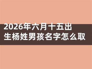 2026年六月十五出生杨姓男孩名字怎么取