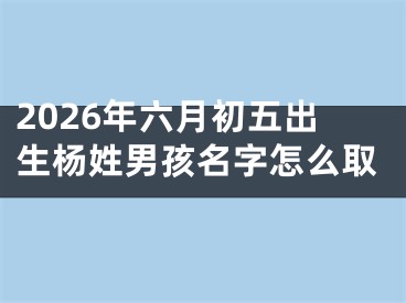 2026年六月初五出生杨姓男孩名字怎么取