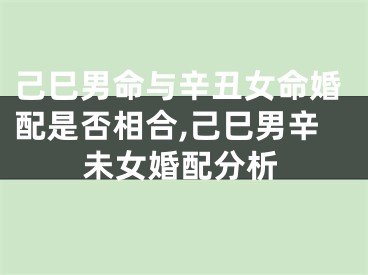 己巳男命与辛丑女命婚配是否相合,己巳男辛未女婚配分析