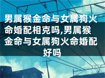 男属猴金命与女属狗火命婚配相克吗,男属猴金命与女属狗火命婚配好吗
