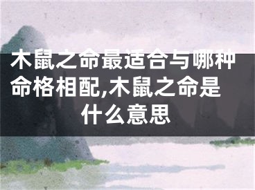 木鼠之命最适合与哪种命格相配,木鼠之命是什么意思