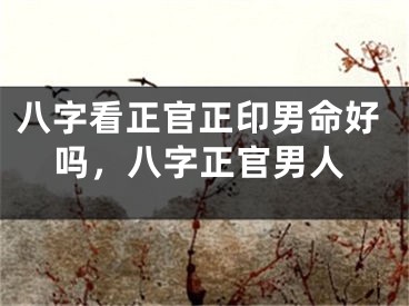 八字看正官正印男命好吗，八字正官男人