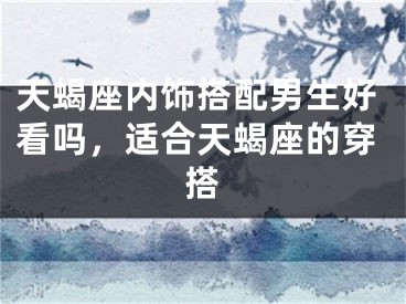 天蝎座内饰搭配男生好看吗，适合天蝎座的穿搭