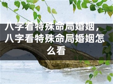 八字看特殊命局婚姻，八字看特殊命局婚姻怎么看