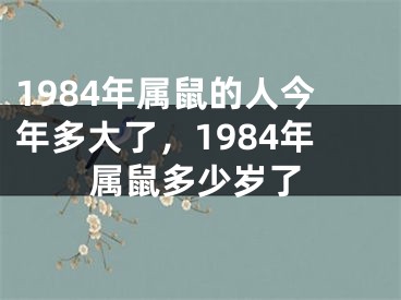 1984年属鼠的人今年多大了,1984年属鼠多少岁了