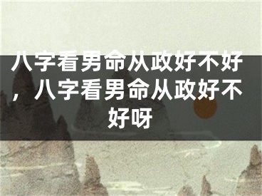 八字看男命从政好不好，八字看男命从政好不好呀