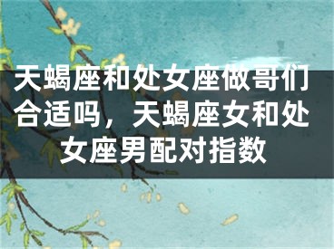 天蝎座和处女座做哥们合适吗，天蝎座女和处女座男配对指数