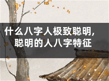 什么八字人极致聪明,聪明的人八字特征