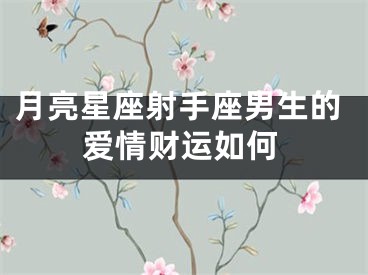 月亮星座射手座男生的爱情财运如何