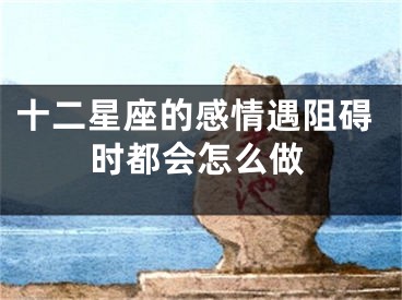 十二星座的感情遇阻碍时都会怎么做