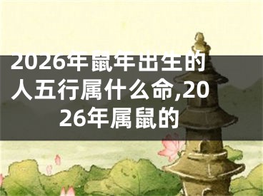 2026年鼠年出生的人五行属什么命,2026年属鼠的