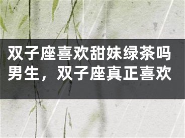 双子座喜欢甜妹绿茶吗男生，双子座真正喜欢
