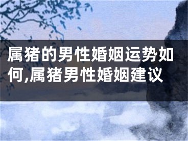 属猪的男性婚姻运势如何,属猪男性婚姻建议