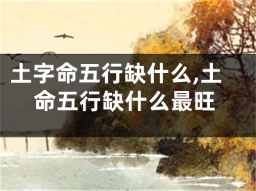 土字命五行缺什么,土命五行缺什么最旺