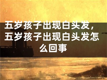五岁孩子出现白头发,五岁孩子出现白头发怎么回事