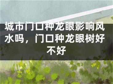 城市门口种龙眼影响风水吗,门口种龙眼树好不好
