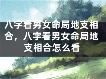 八字看男女命局地支相合,八字看男女命局地支相合怎么看