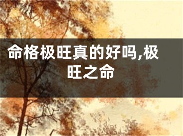 命格极旺真的好吗,极旺之命