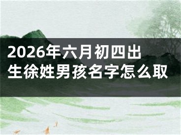 2026年六月初四出生徐姓男孩名字怎么取